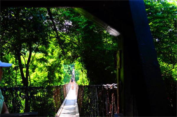 重庆到三亚怎么去最便宜,重庆到三亚途经哪些旅游城市