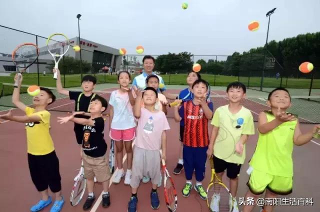 南阳体育中心室内开放了吗,南阳体育中心将免费开放