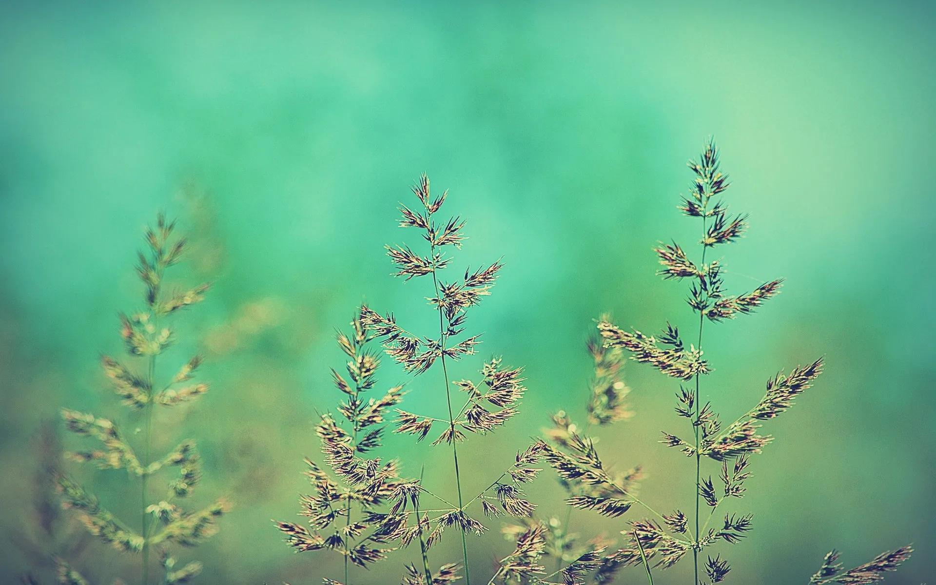 8本小说:炖枣记!嫌夫养成贤!穿越之细水长流!小古板的纨绔替嫁妻