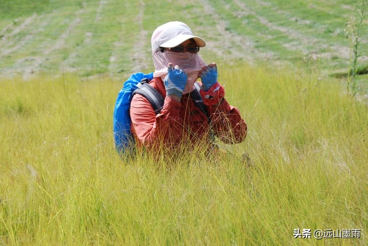 昆明嘉丽泽小镇旅游,昆明嘉丽泽水乡