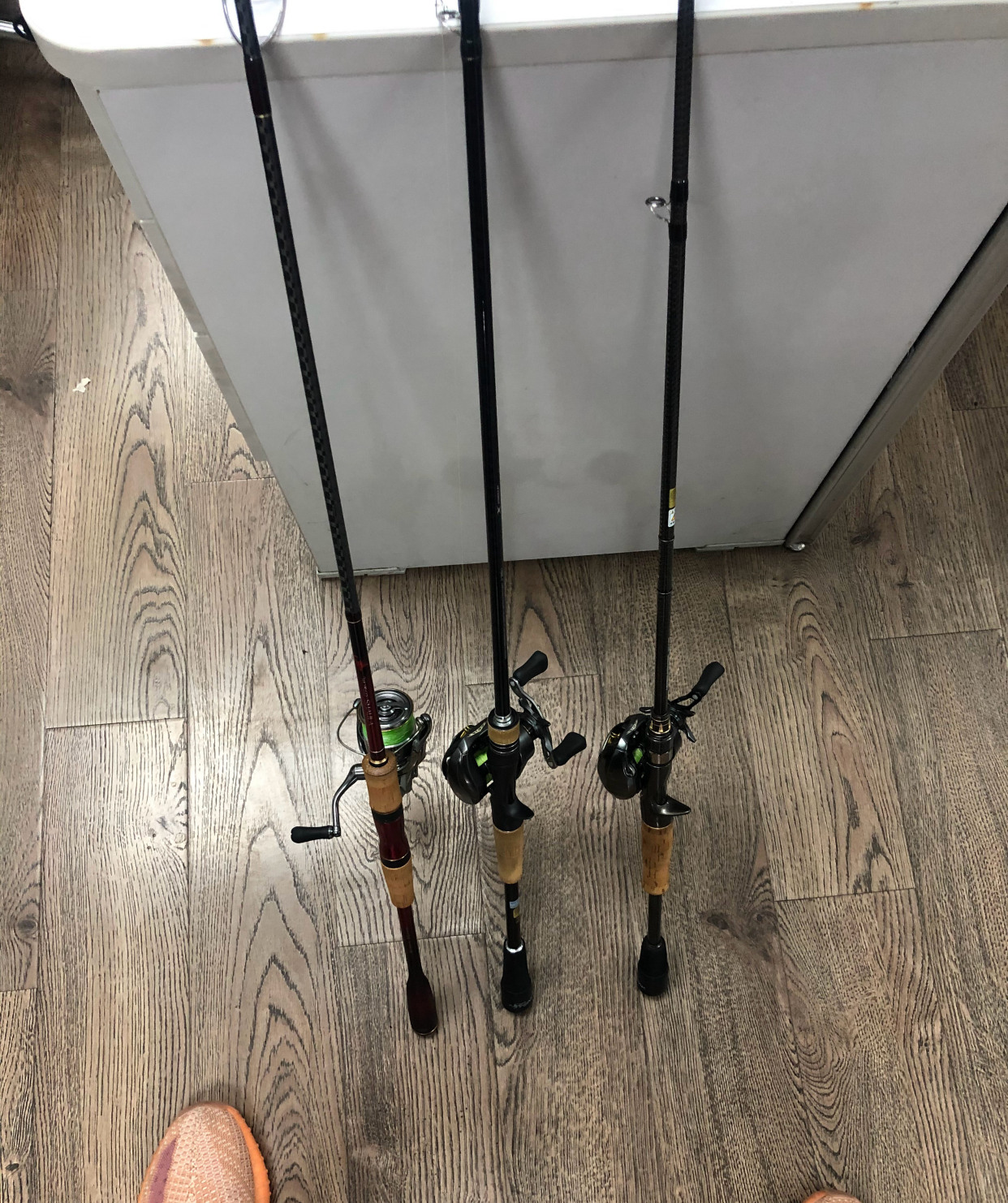 路亚入门路亚如何才能钓到鱼,淡水路亚怎么钓中鱼率高