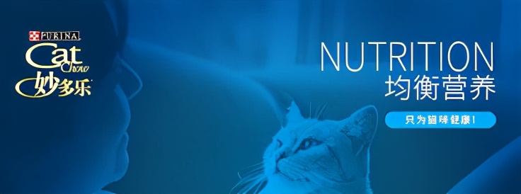 成猫猫粮品牌推荐,国产十大放心猫粮品牌鲜朗排行榜