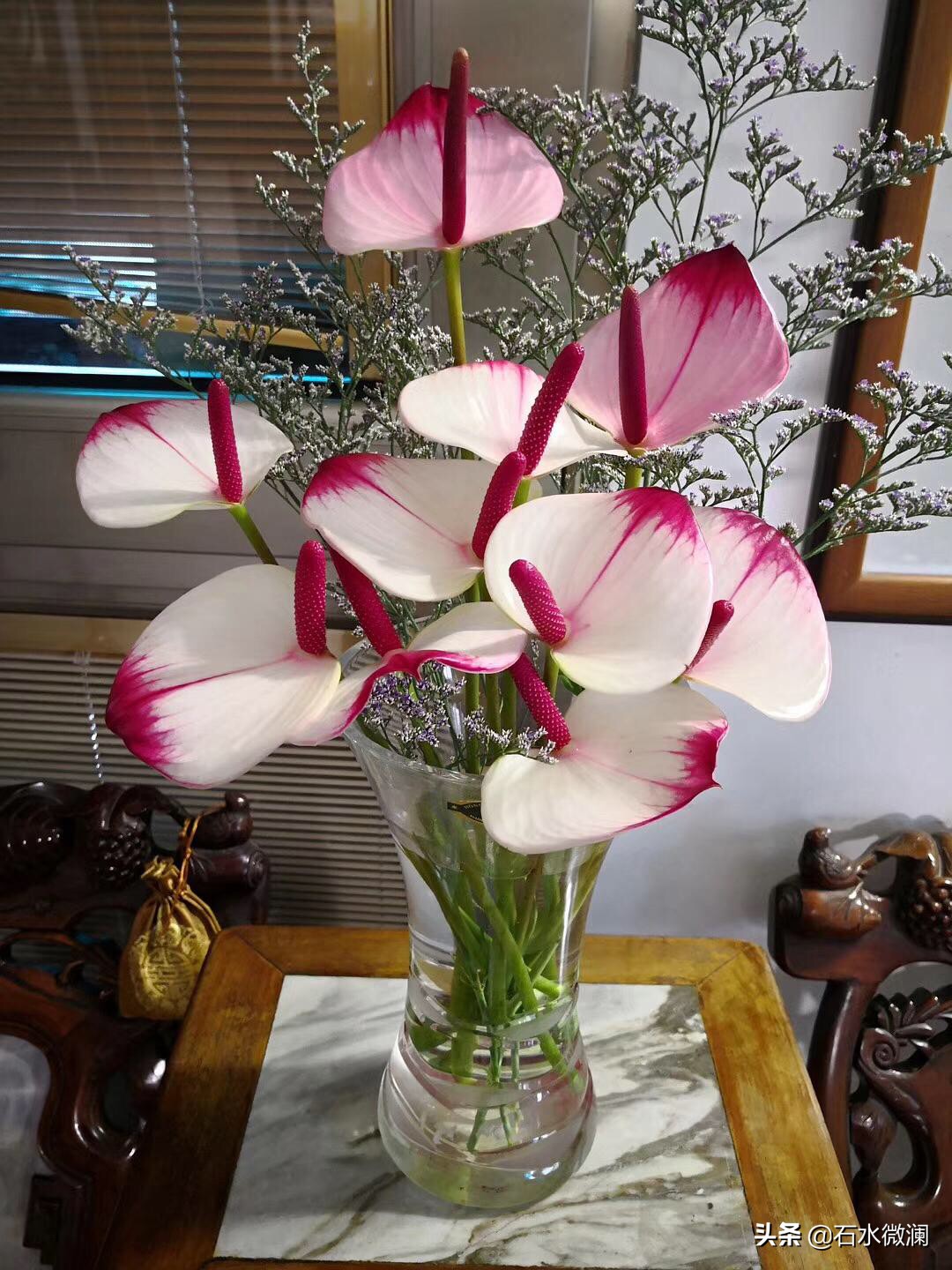 射雕神雕中的少林,金庸武侠哪个小说里少林派最弱