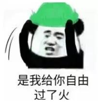特朗普和政治家的区别,特朗普和谁一个政党