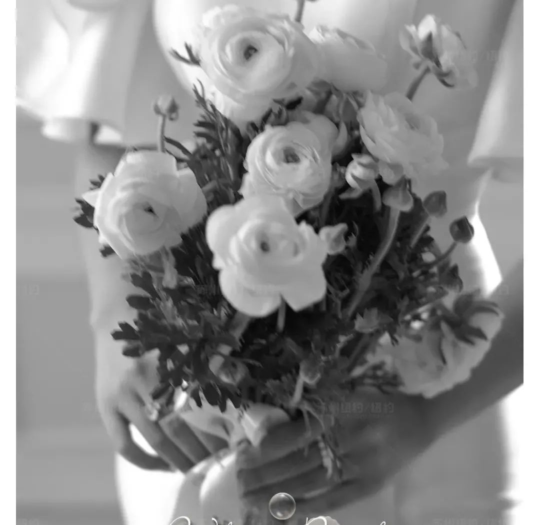 纽约纽约新品发布|为爱谱写最美好的记忆