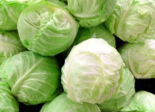 12个菜农不对外说的买菜窍门，新鲜水嫩，菜贩子：一看就是行家