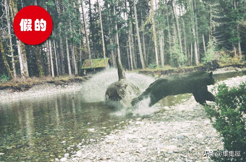 一直以来在网络世界流传并欺骗着无数人的9张照片但却是假的