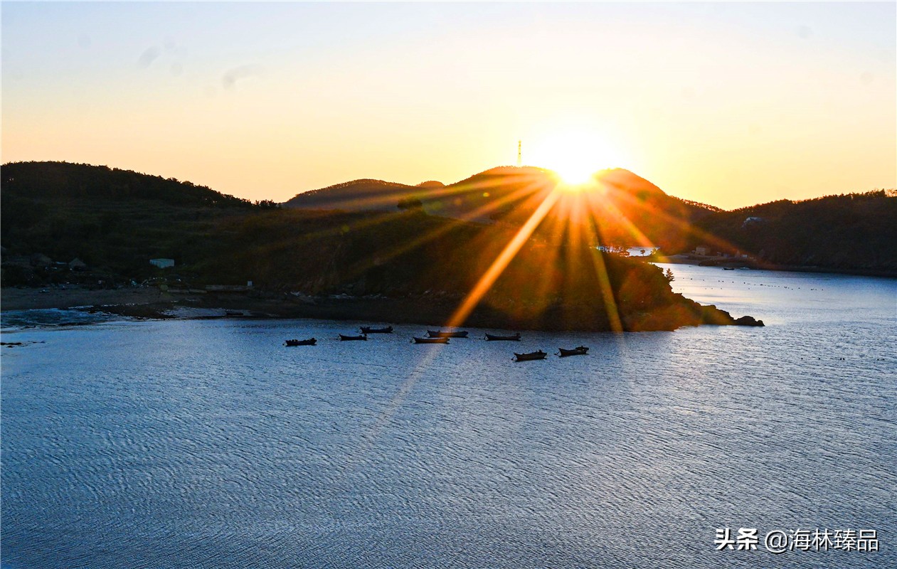 探秘海参的捕捞过程,野生海参采捕视频大全