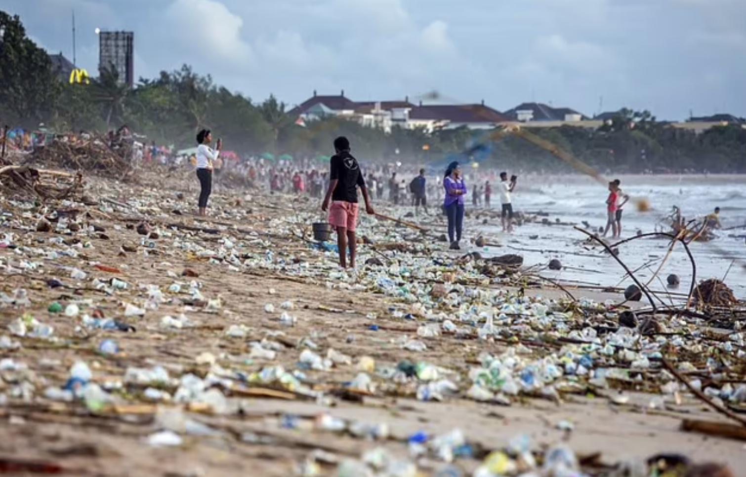 牛太牛了！牛胃竟然能消化塑料，科学家：世界难题不难了