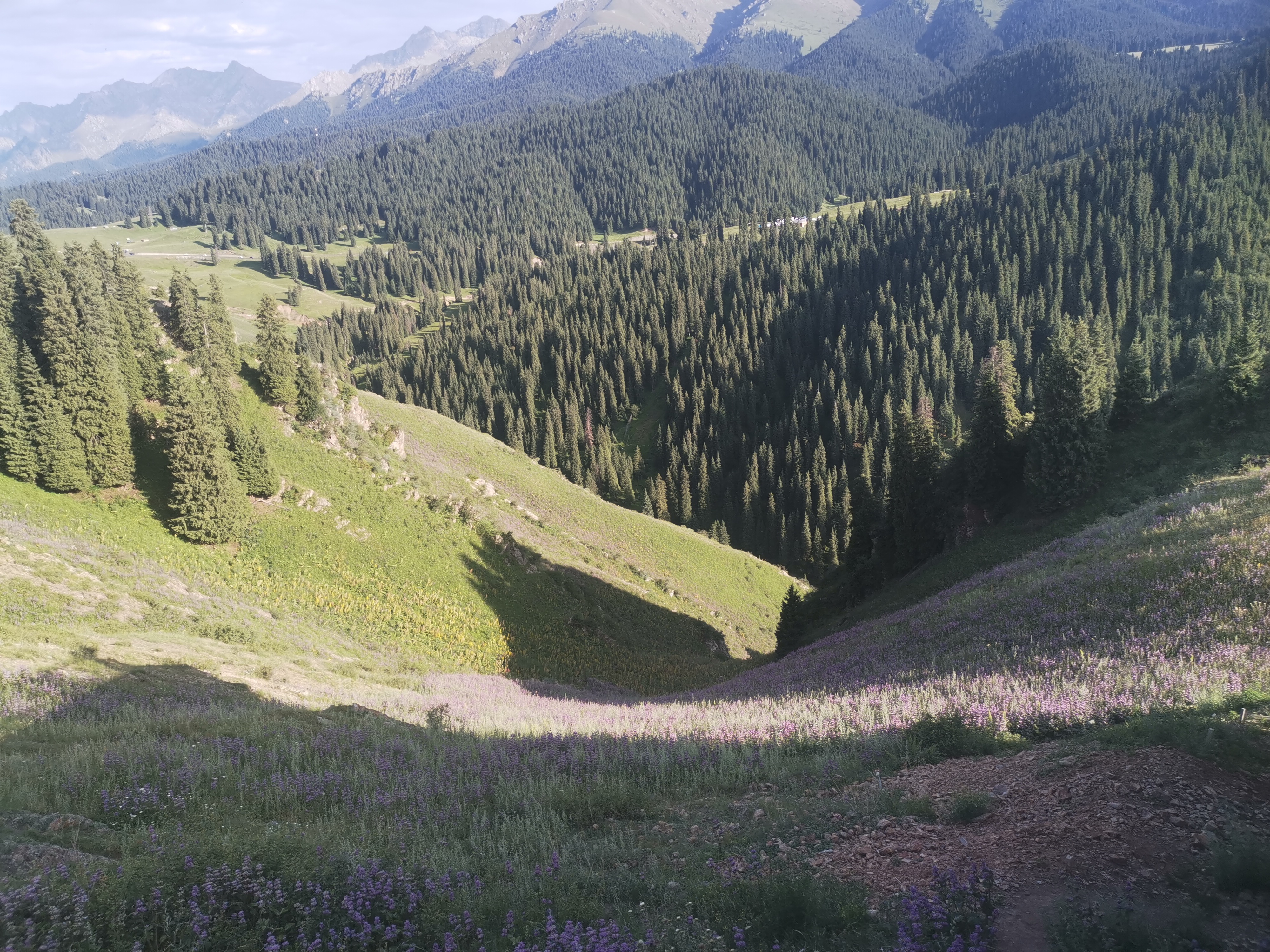 江布拉克自驾游攻略两天一夜,自驾一家三口四天三晚自由行攻略