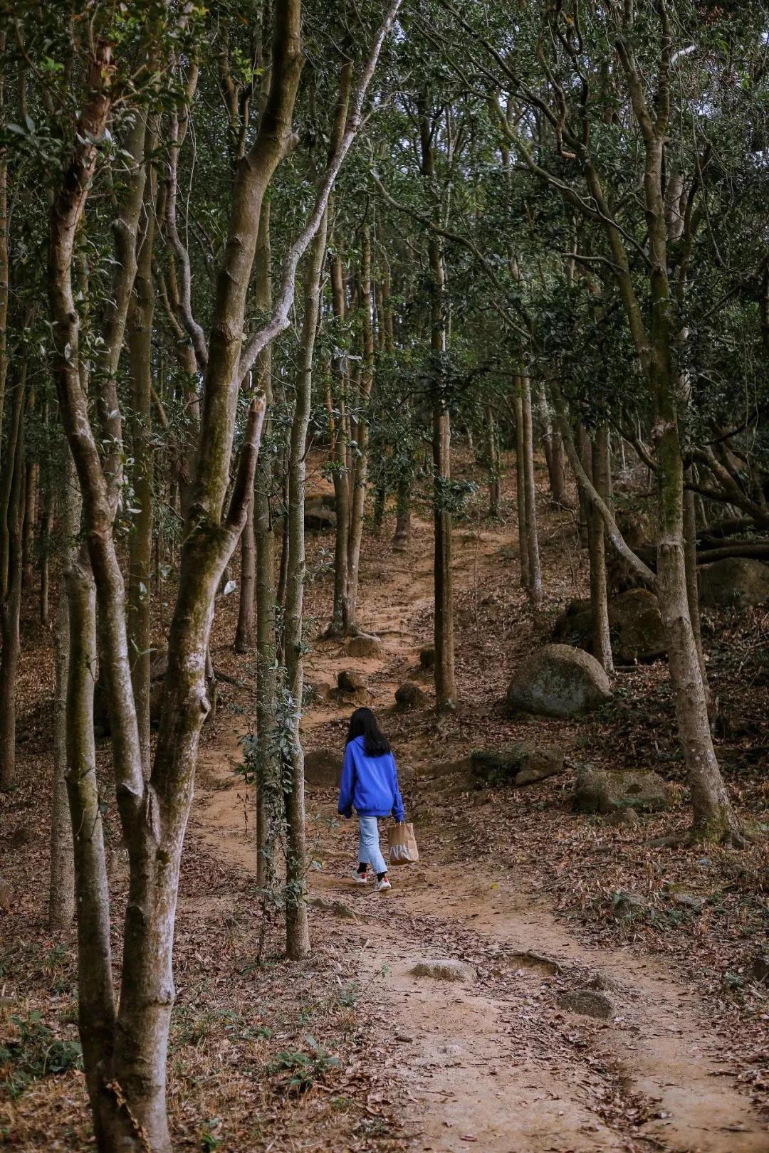 深圳首条手作“原始登山道”，人少好爬景色超美…过年去哪不用愁