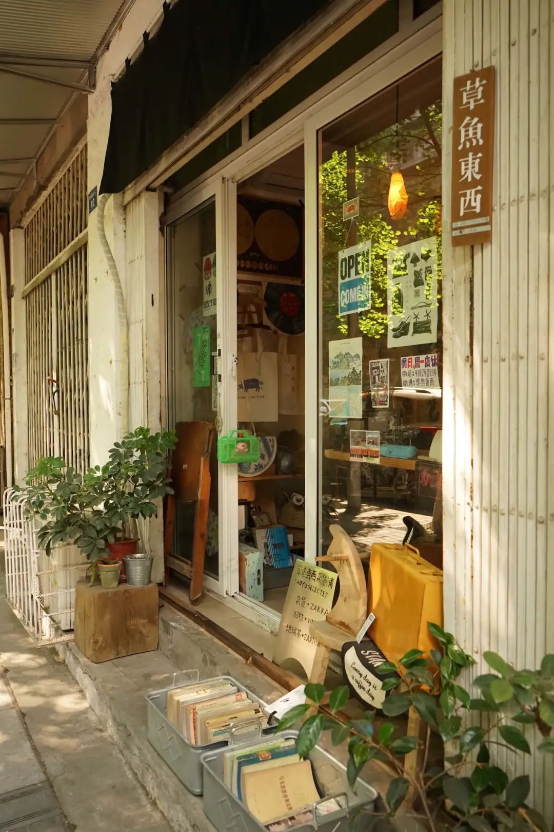 人民公园小南街,人民公园长发魔女