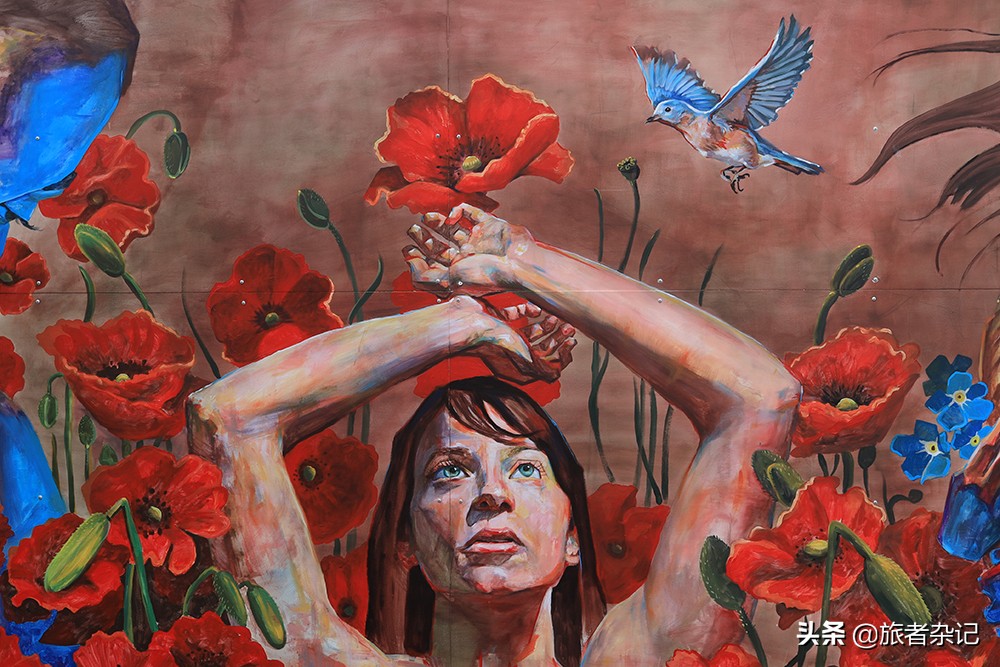 谢菲尔德壁画小镇图片,塔斯马尼亚壁画小镇谢菲尔德小镇