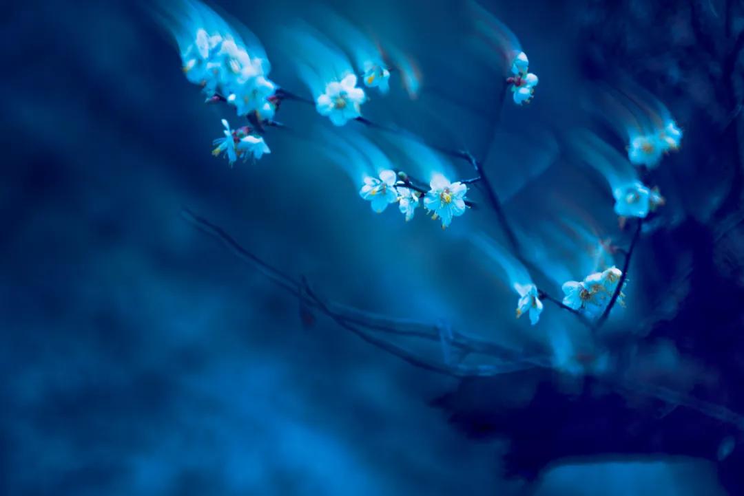 香港第14届全国摄影艺术展,第29届全国摄影艺术展览获奖名单