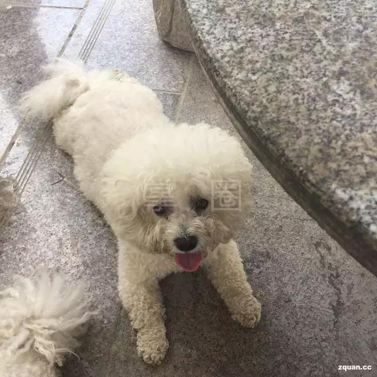 NO.863：阿克苏本地求职招聘、出租转让、农林牧副渔...信息大全