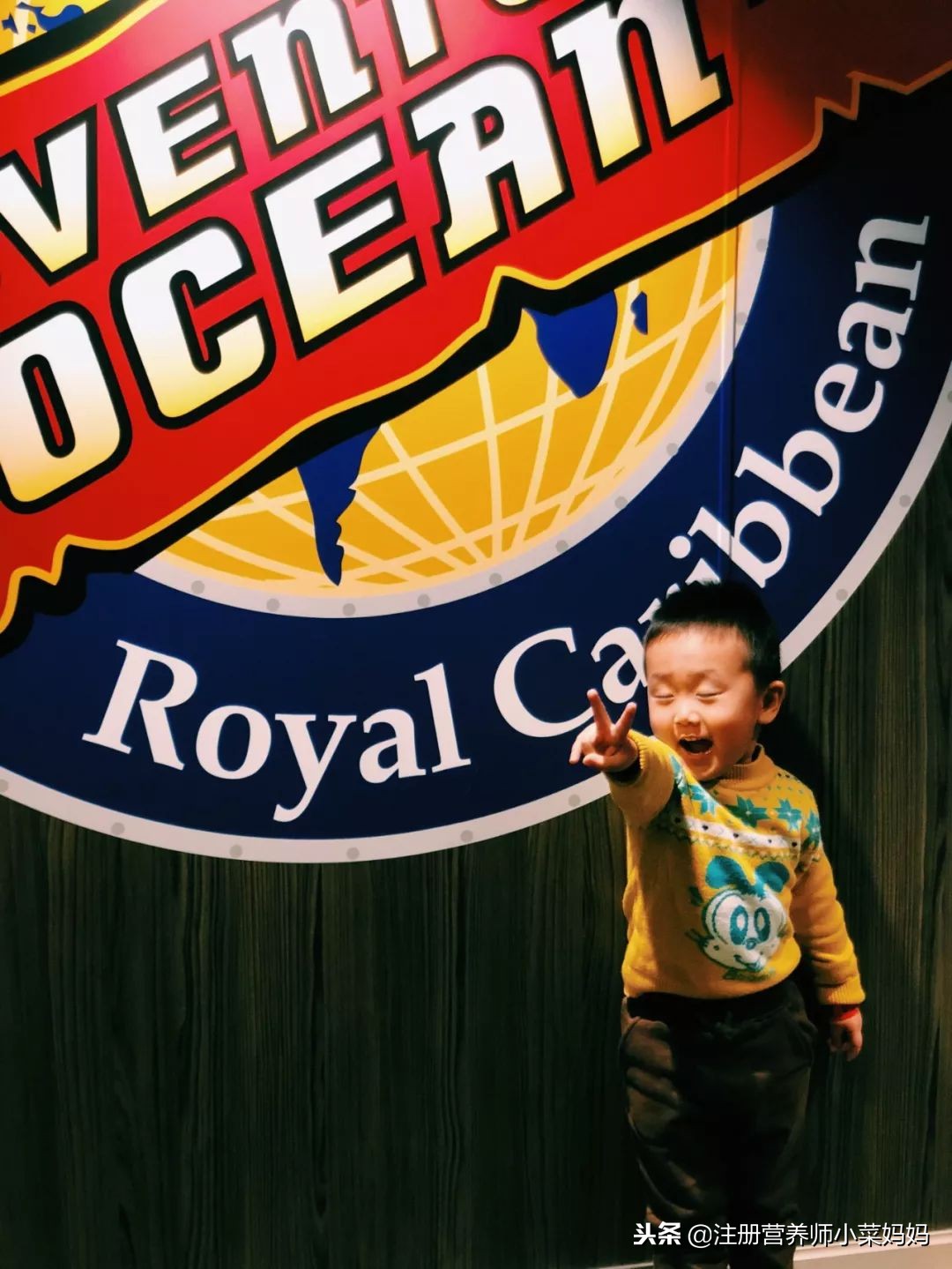 邮轮出国游量子号攻略,皇家加勒比游轮量子号游记