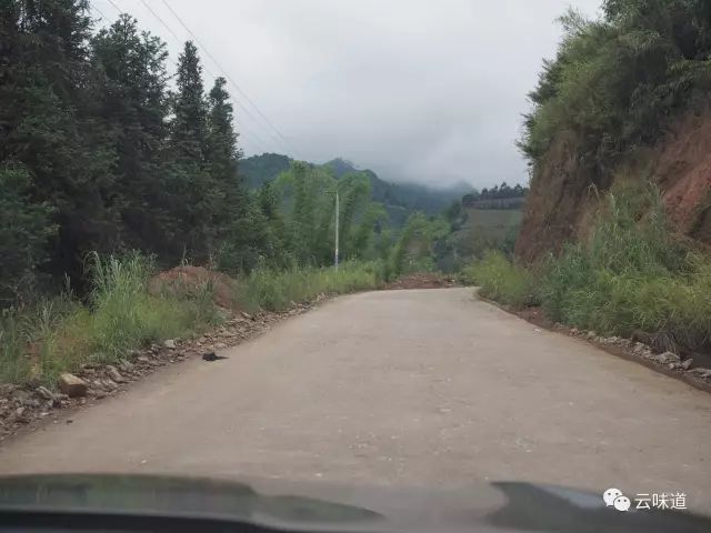 18万冰岛普洱茶,冰岛18年茶价格