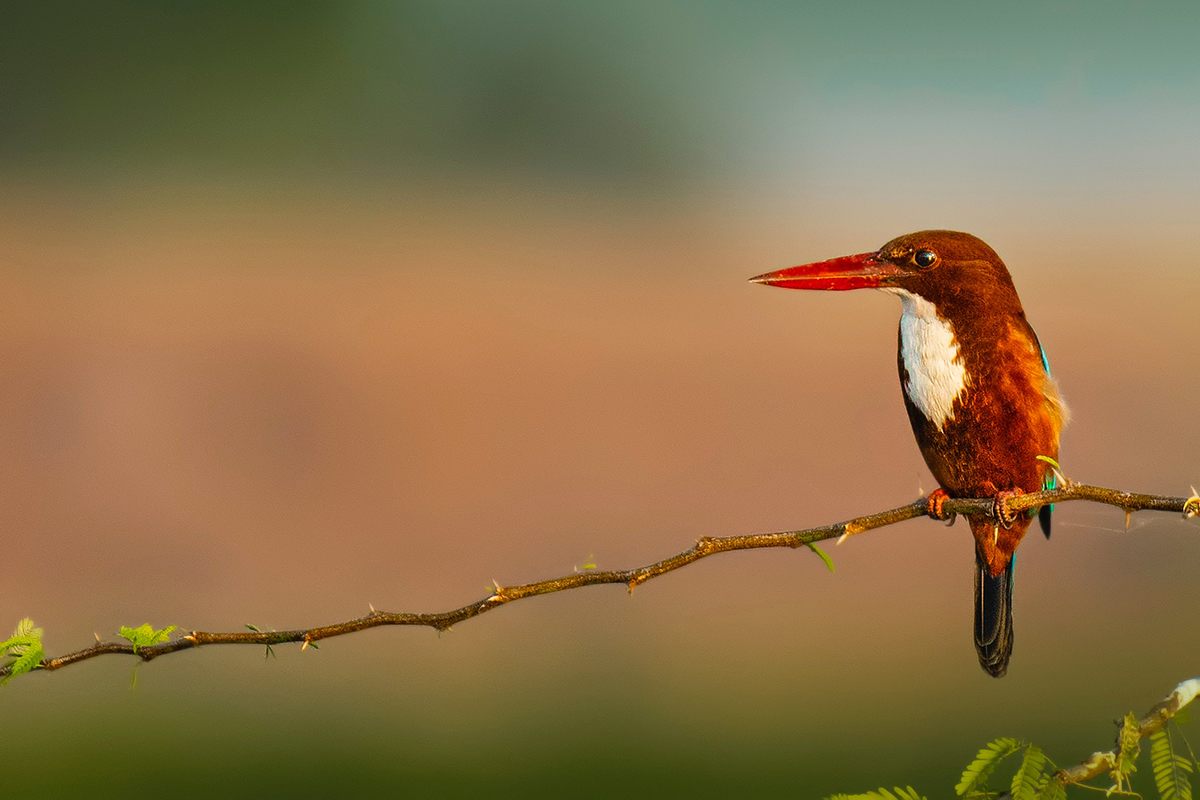 污水厂那些事,污水厂的那些事