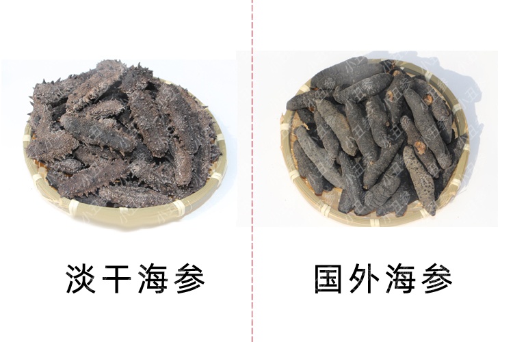 1300元一斤的海参是正品吗,价格便宜的海参是假海参吗