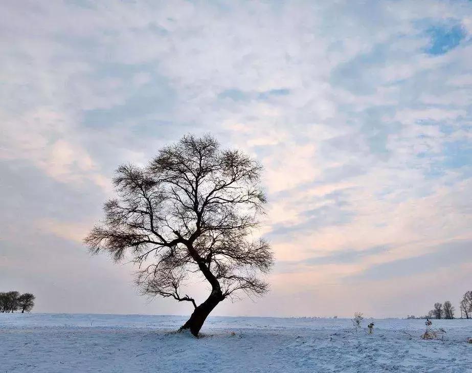 整改后的雪乡怎么样,雪乡整改后的真实感受