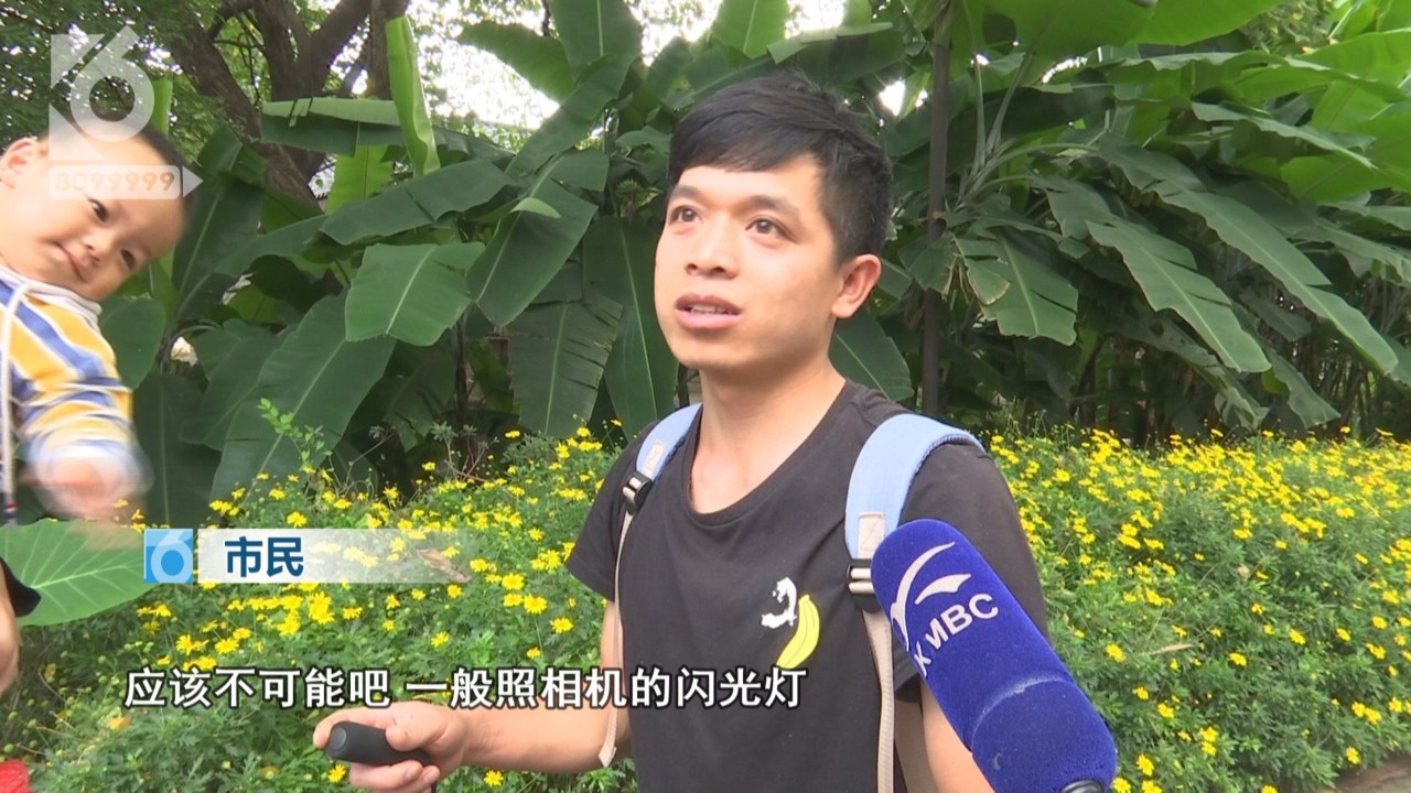 手机闪光灯怎么打爆气球,手机闪光灯引爆气球