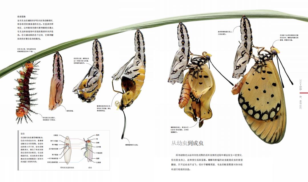 揭秘动物世界的“冷知识”,动物世界中的奇妙之处