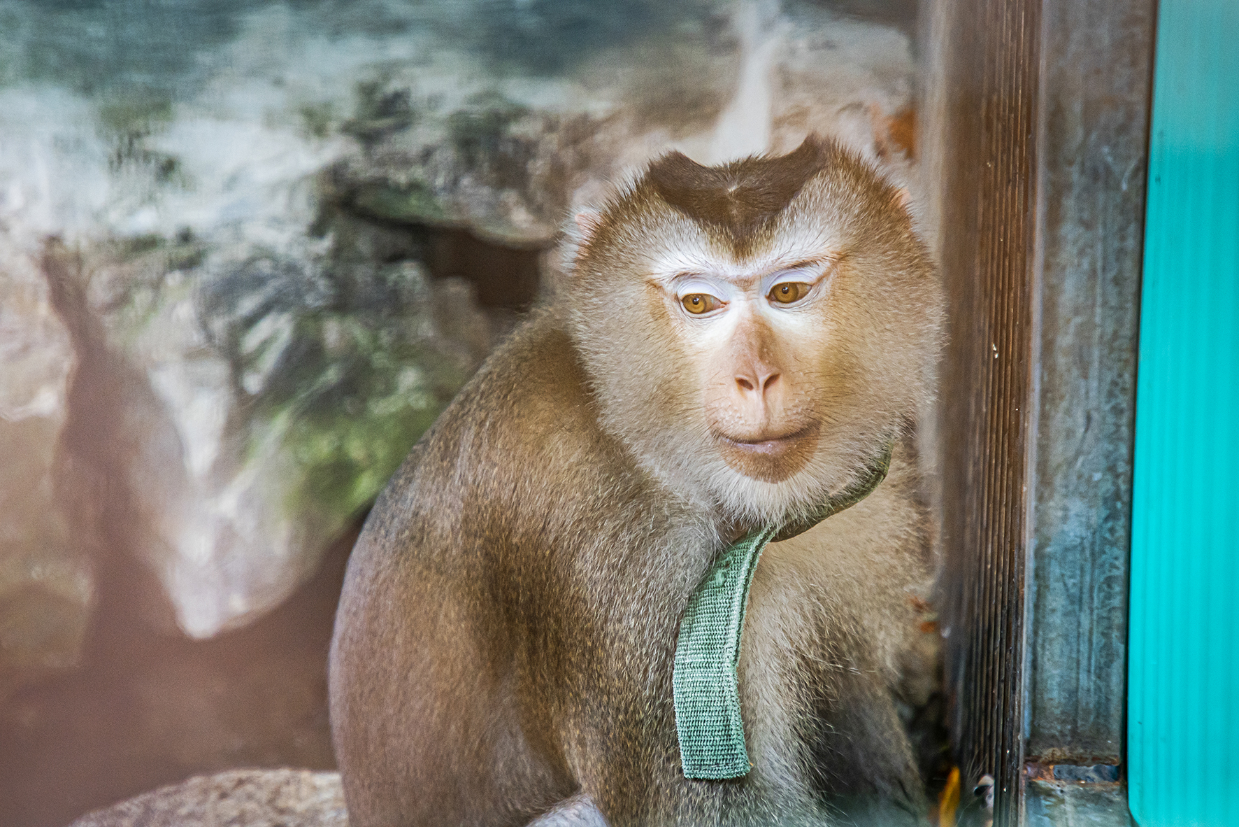 侨鑫生态园景区,华南生态休闲农庄