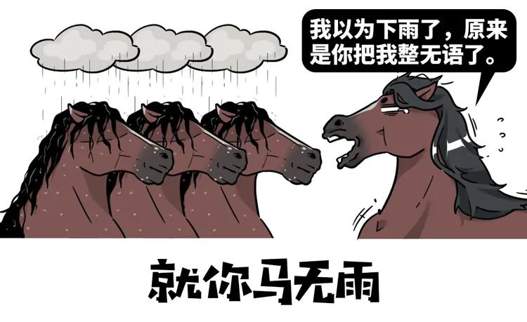 奇葩成语大全及答案,2019奇葩的成语