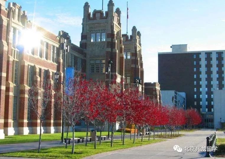 阿尔伯塔省留学推荐,加拿大留学阿尔伯塔