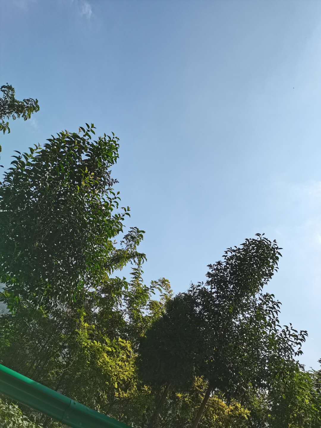 你羡慕什么样的工作,你羡慕的职业