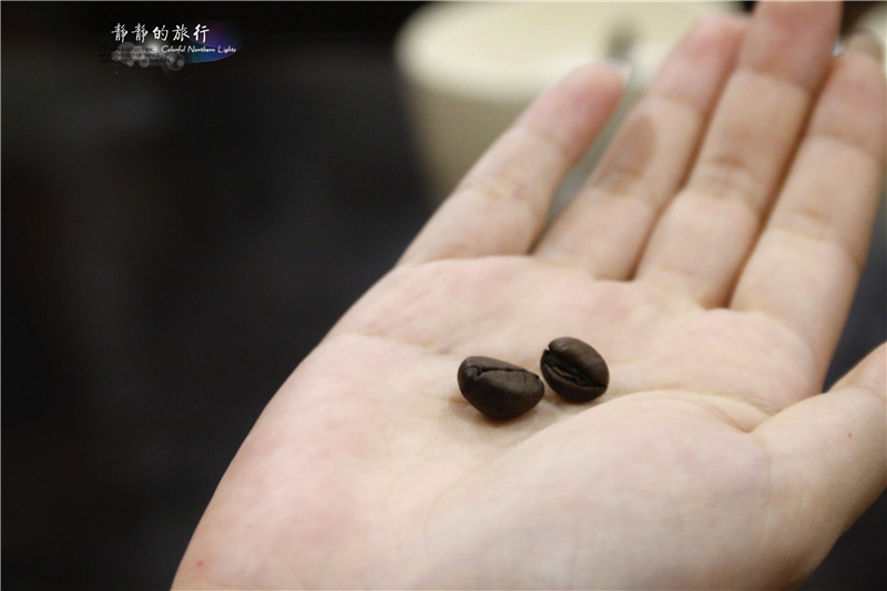 在印尼见识传说中最昂贵的猫屎咖啡