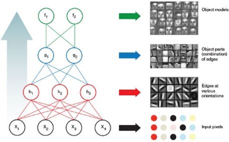 深度学习图灵架构和帕斯卡,图灵奖得主本科
