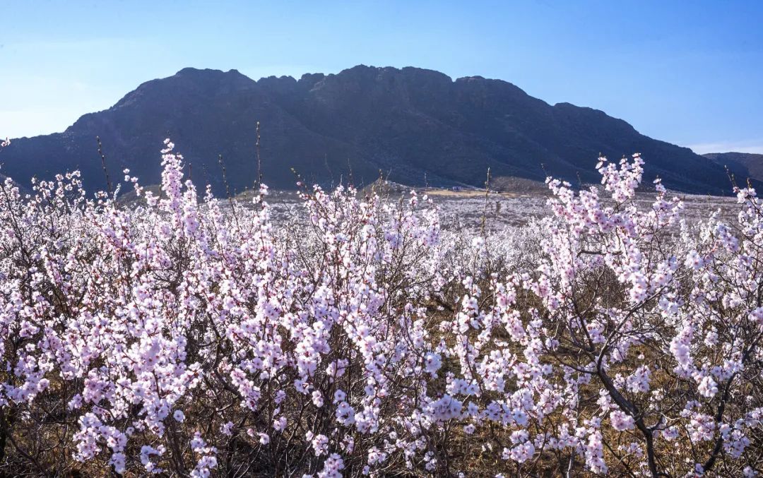 内蒙古通辽扎鲁特旗5条自驾游线路和景点攻略