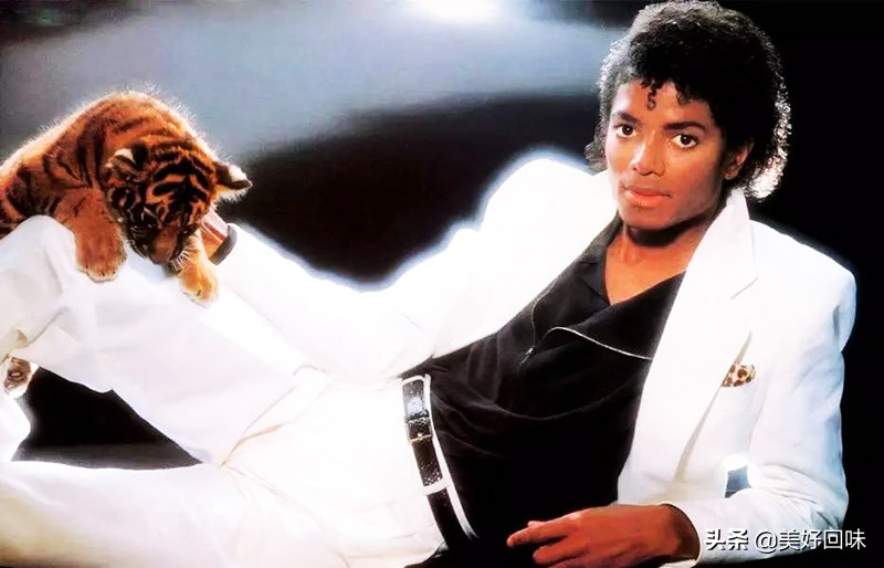 迈克尔杰克逊财富排名,迈克尔杰克逊全球最具影响力人物