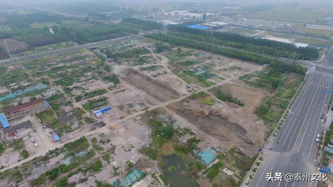 泰兴襟江小学澄江校区规划,泰兴襟江小学镇海校区怎么样