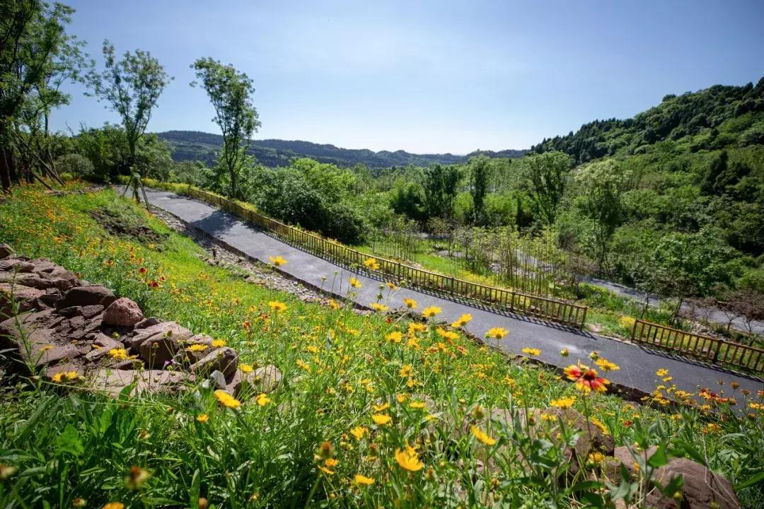 全球最大的城市森林公园,全球最绿色的城市