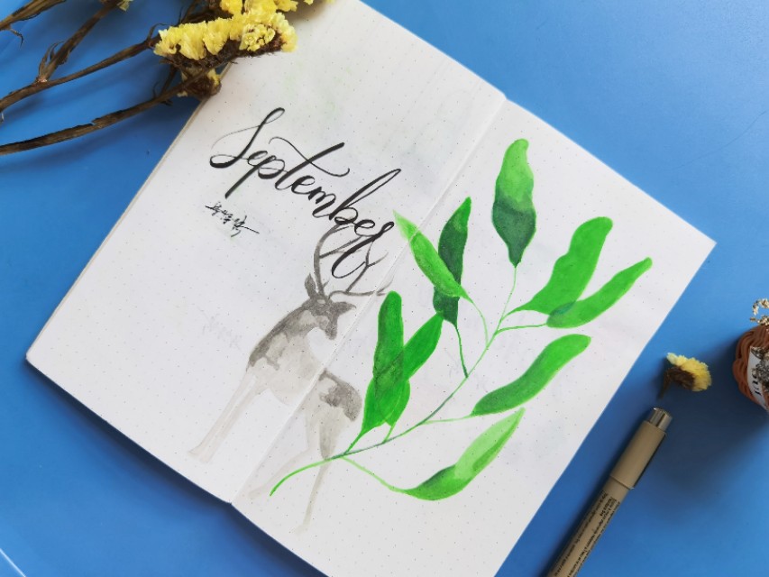 顶级自律100个习惯,世界顶级自律100条