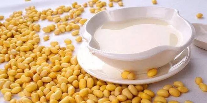 喝豆浆不能喝茶吗,喝豆浆不能吃柿子吗