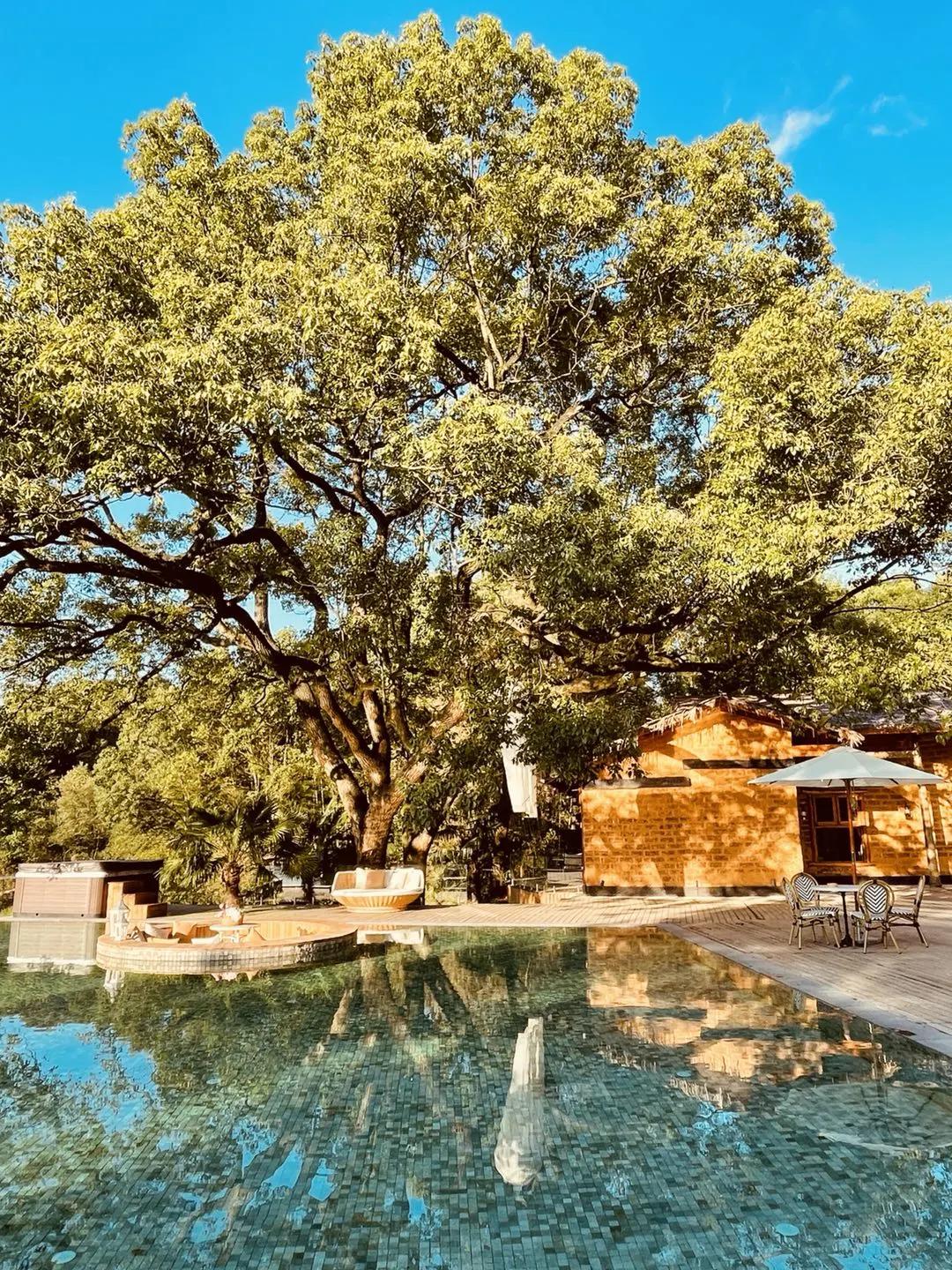 神仙眷侣辞掉高薪工作，爆改废弃山谷，造无边恒温泡池，全景树屋