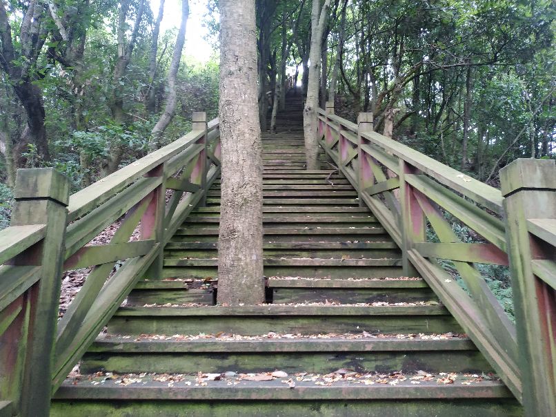 婺源唯一的5a级景区江湾视频,婺源风景区11个村哪个值得玩