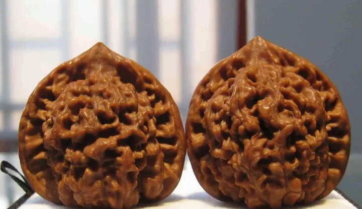 核桃小白尖怎么处理,核桃尖用什么补最好