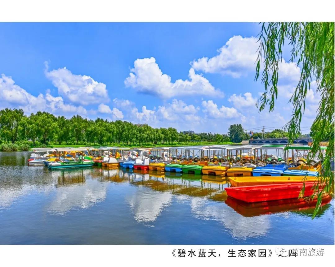 悦享莒南|惊艳了莒南蓝，温暖了遇见