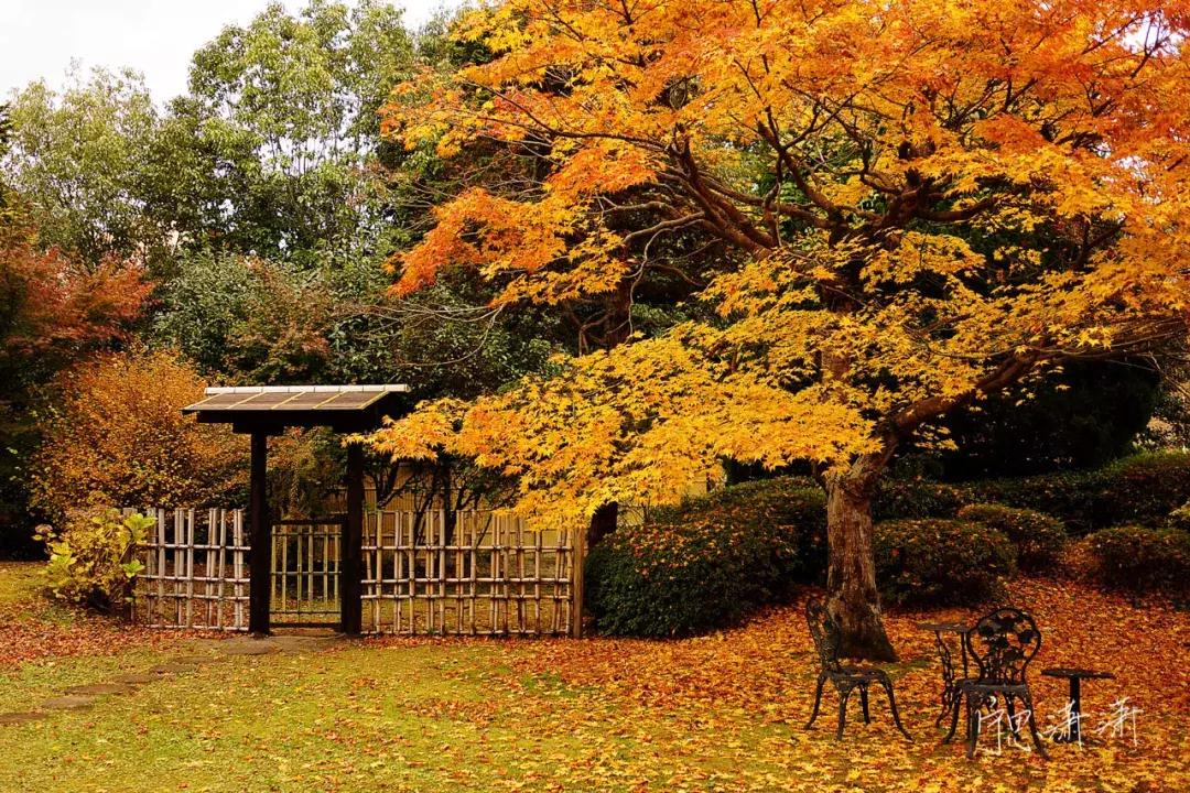 相机对焦技巧教程,相机对焦有哪些方法和技巧