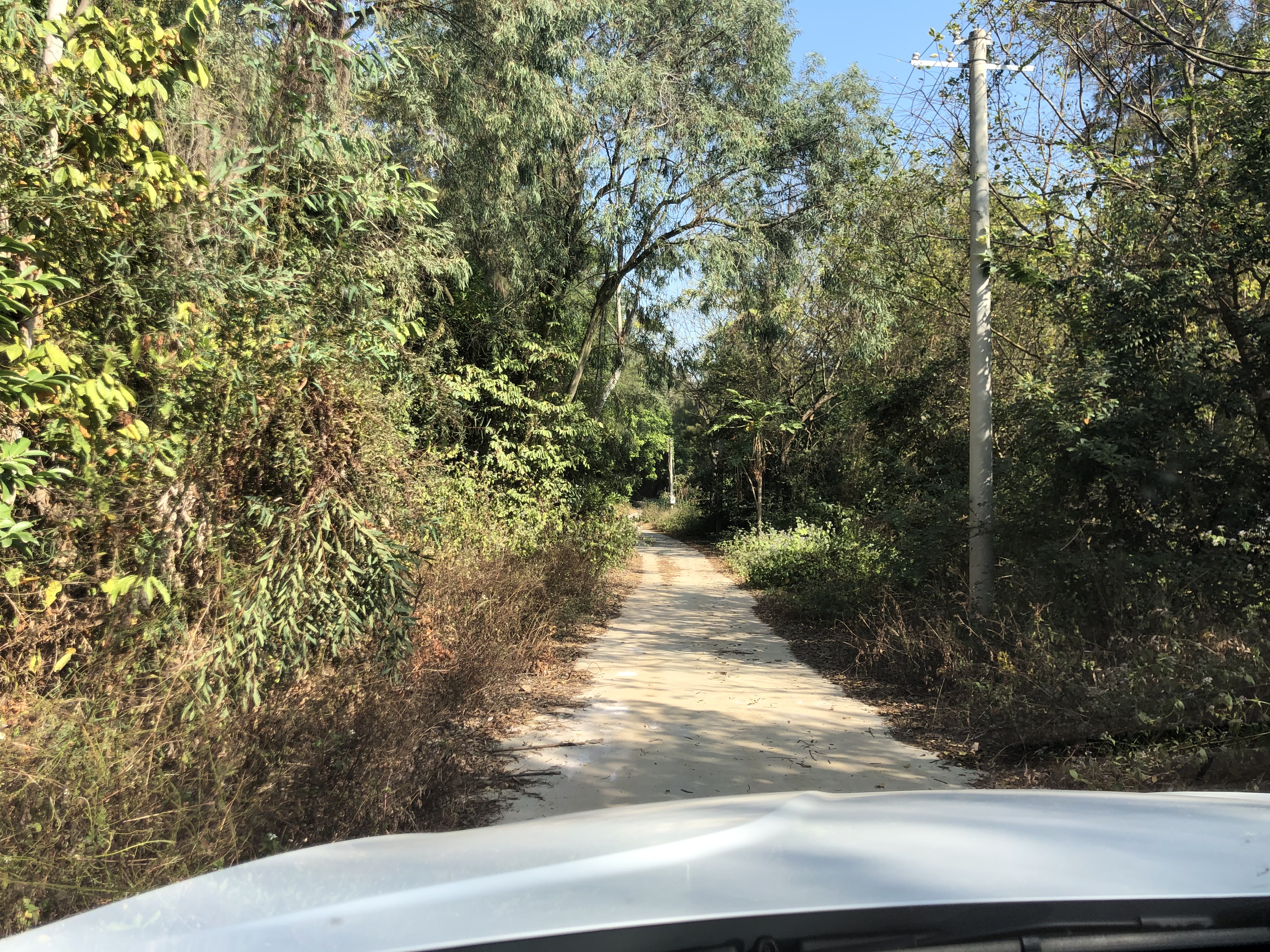 北海开车去越南,从北海一路开车到越南都遇到什么