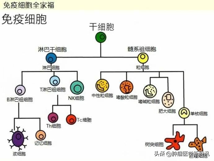 为什么都劝癌症患者别感冒,癌症患者怎么预防感冒