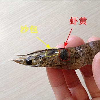 爱吃虾人士的美食食谱,爱吃虾的人怎么挑虾尾呢