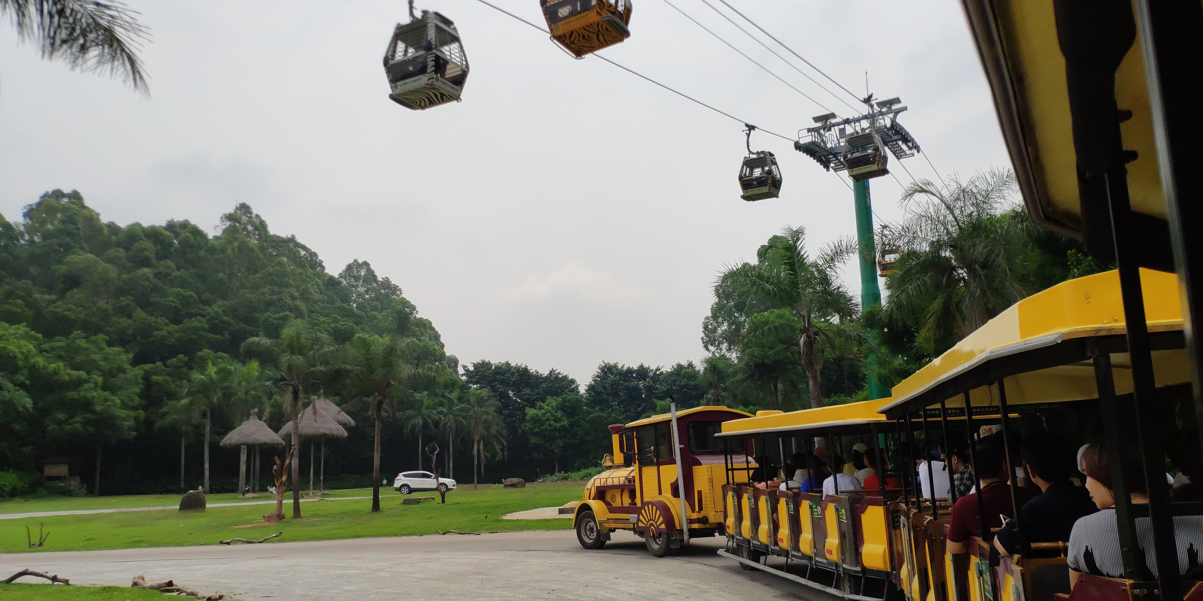 广州长隆四大园区攻略,广州长隆有哪些好地方