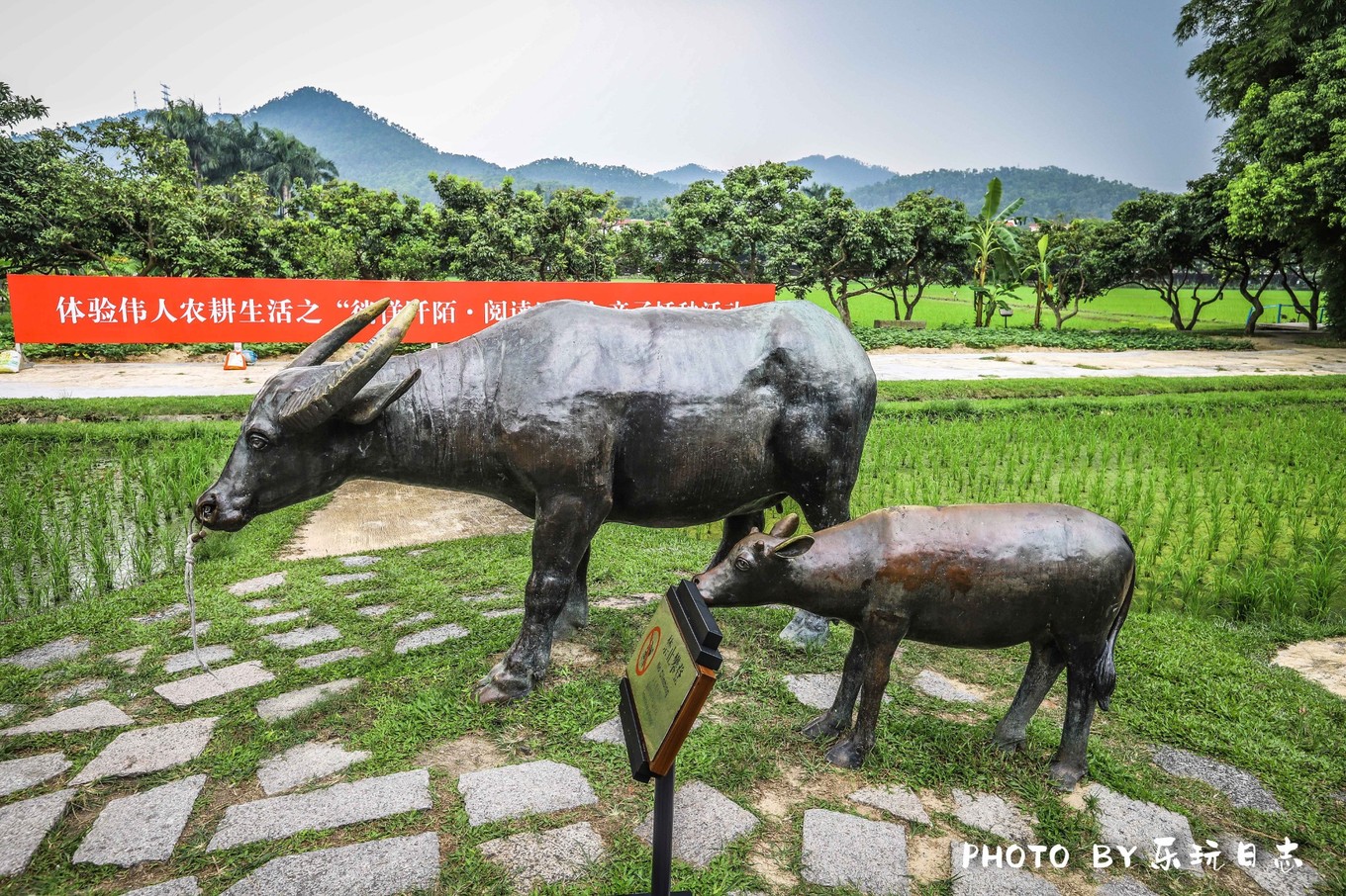 广东最美乡村两日游攻略图片,岭南古村落游玩
