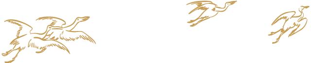 北师大二附中教育集团,北师大二附中联手三附培优