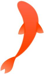 为什么中国锦鲤这么火,锦鲤红包骗人套路